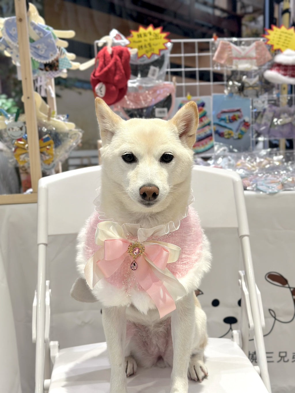 PRINCESS WRAP