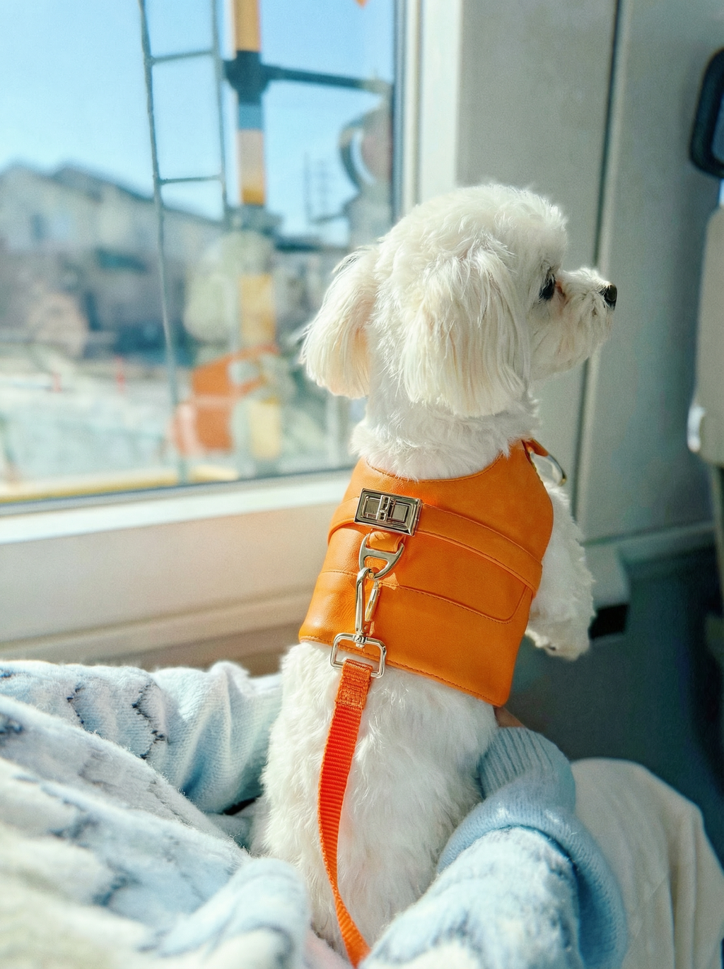 PEW-MES HARNESS