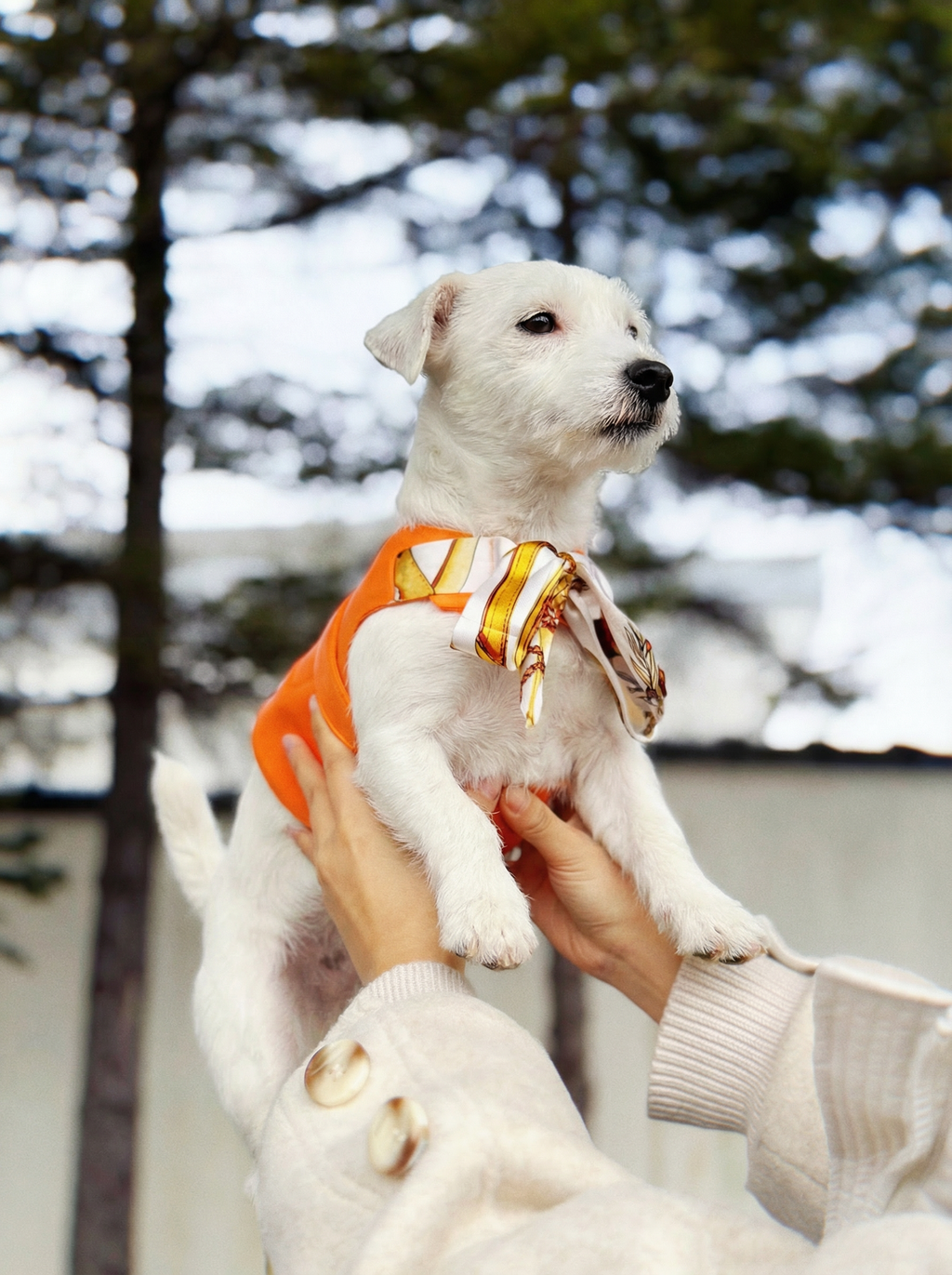 PEW-MES HARNESS