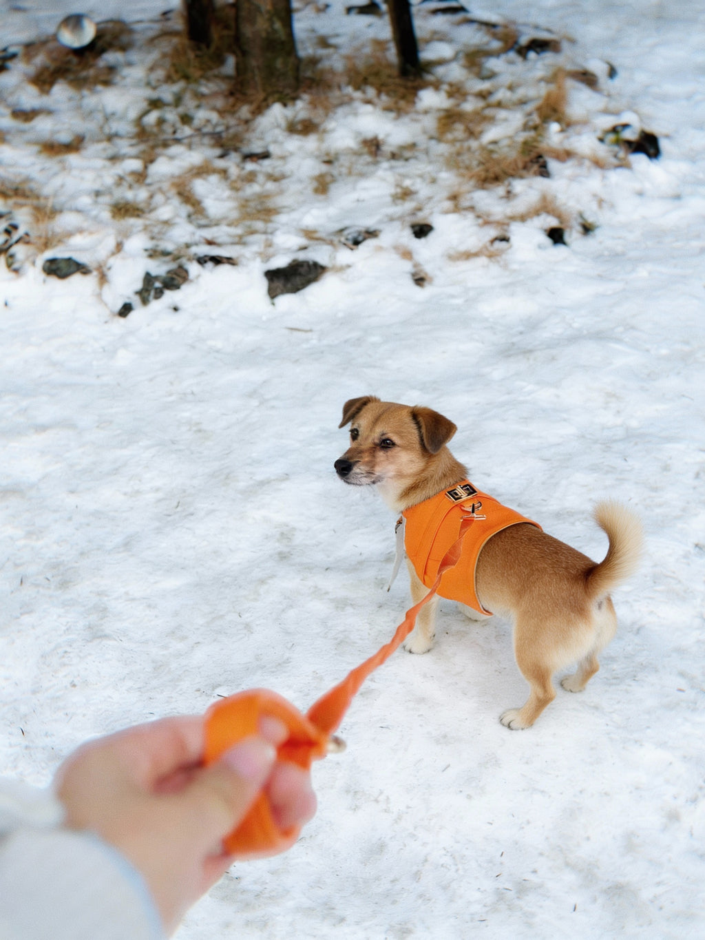 PEW-MES HARNESS